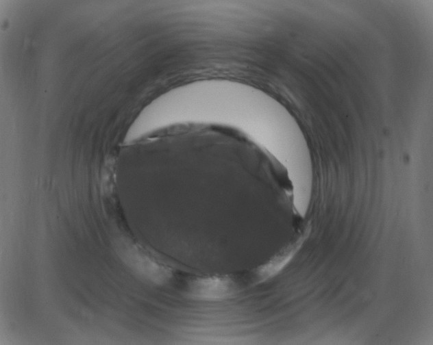 X0000084050237200703161905