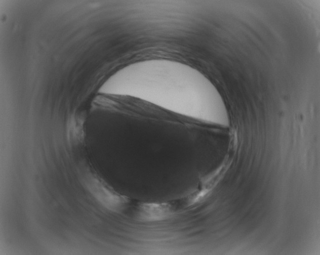 X0000084050239200703161905