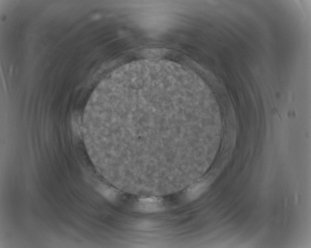 X0000084050240200703161905