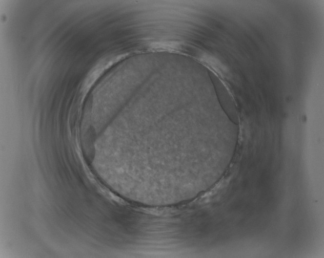 X0000084050241200703161904