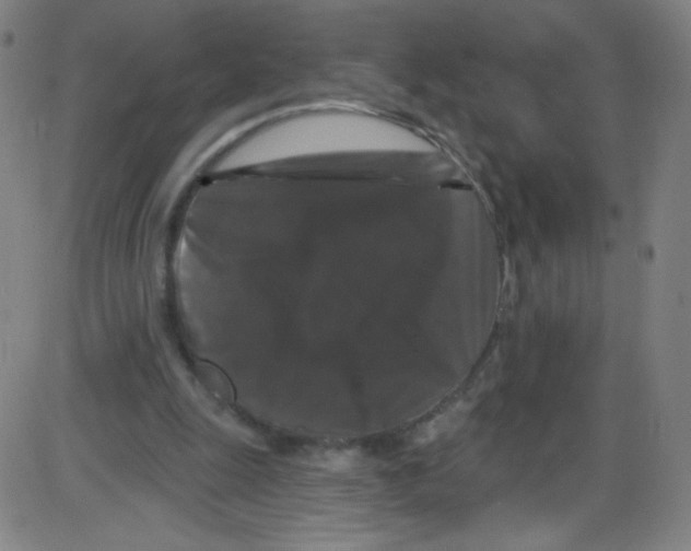 X0000084050247200703161904