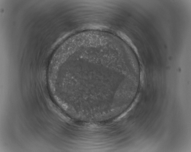 X0000084050249200703161904