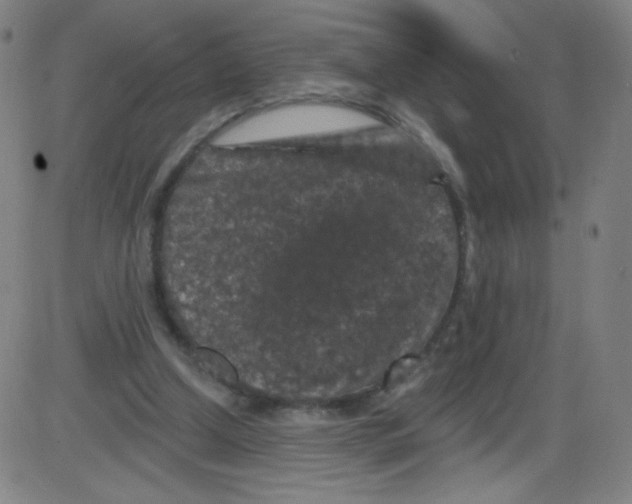 X0000084050250200703161904