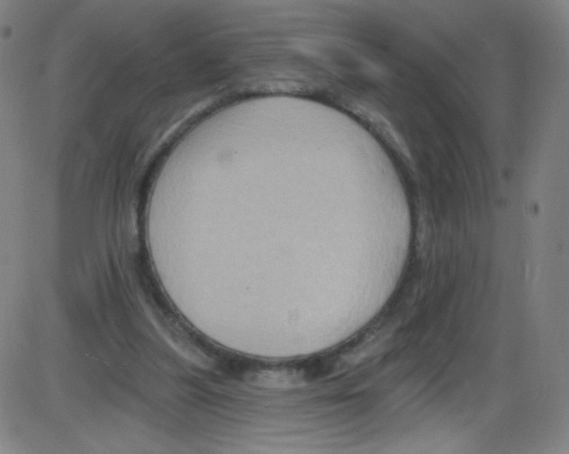 X0000084050251200703161904