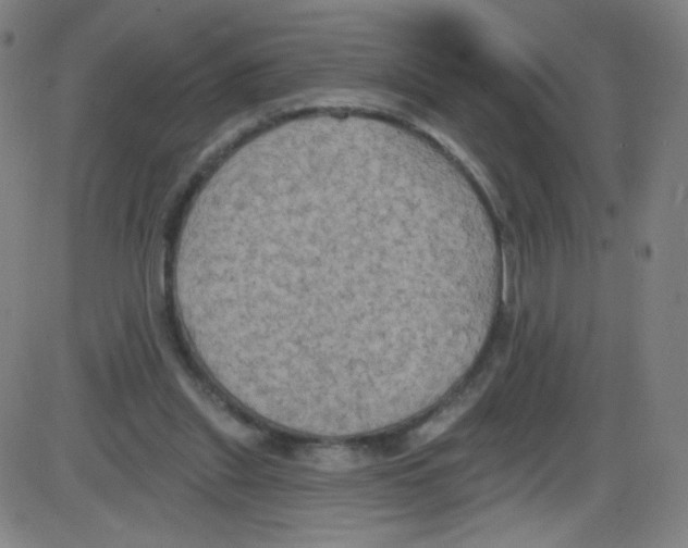 X0000084050253200703161904