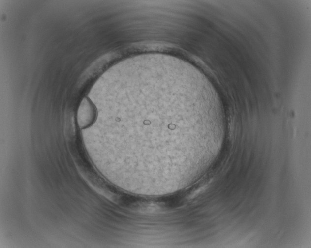 X0000084050254200703161904