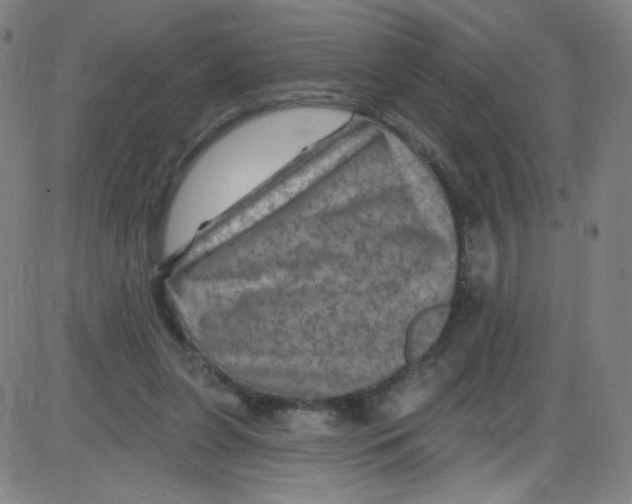 X0000084050255200703161904