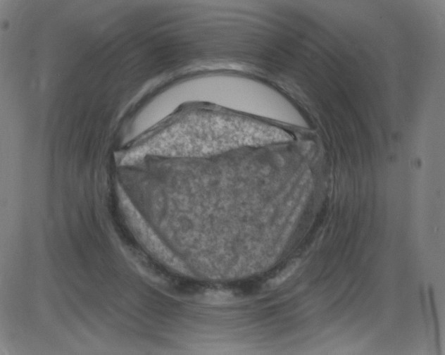 X0000084050256200703161904