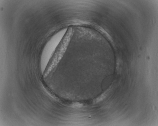 X0000084050257200703161904