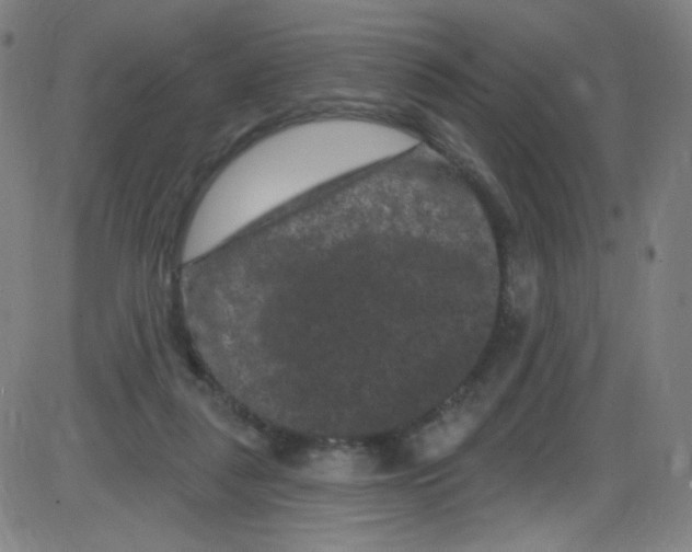 X0000084050259200703161904