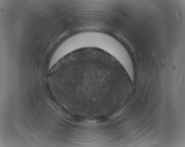 X0000084050260200703161904