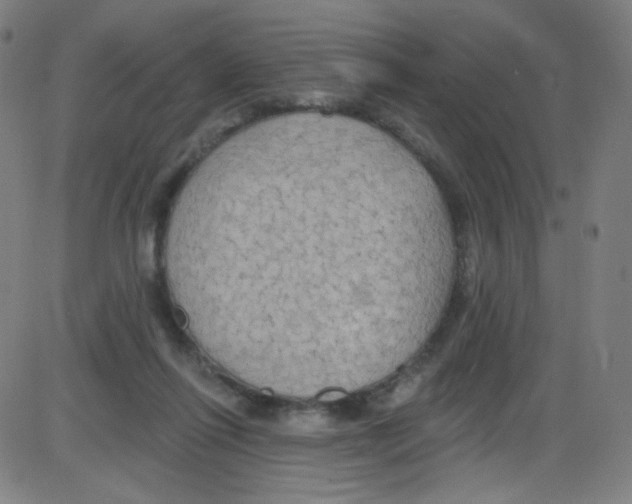 X0000084050262200703161904