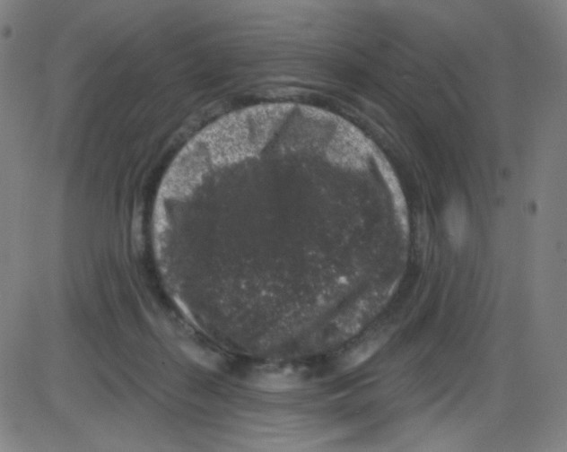 X0000084050267200703161904