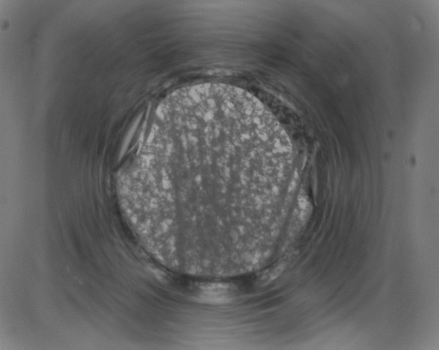 X0000084050268200703161904