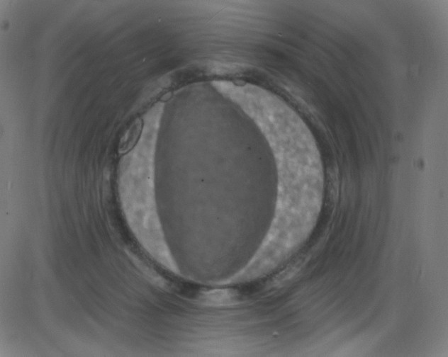 X0000084050269200703161904