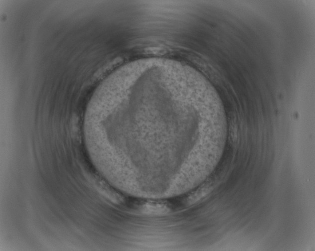 X0000084050270200703161904