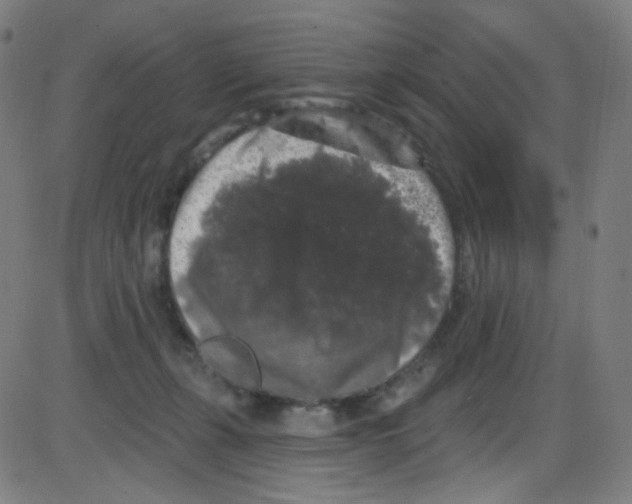 X0000084050271200703161904