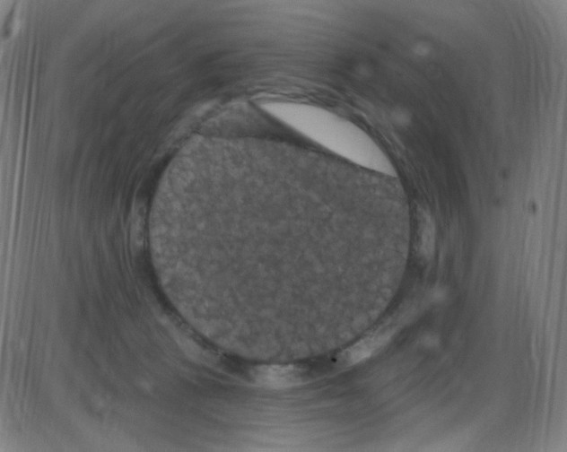 X0000084050273200703161904