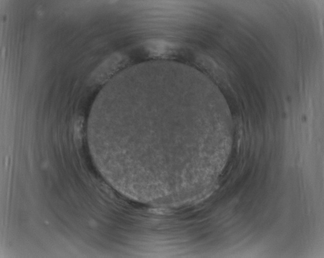 X0000084050275200703161904