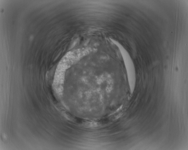 X0000084050276200703161904