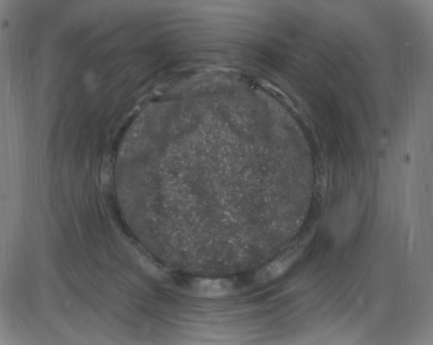 X0000084050277200703161904