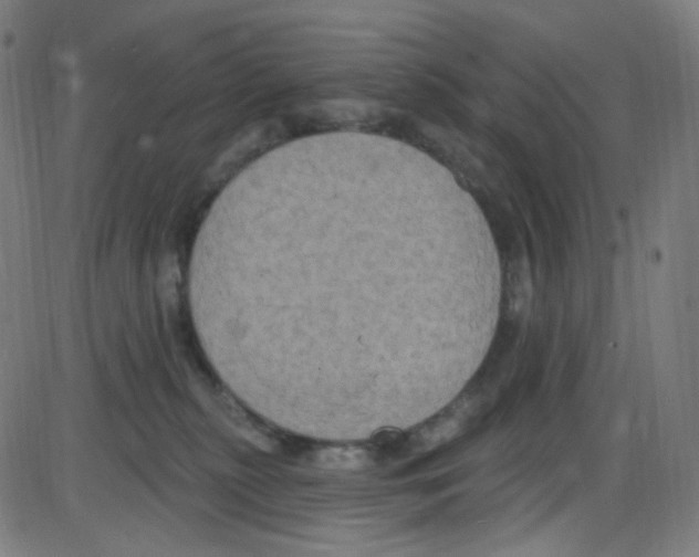 X0000084050279200703161904