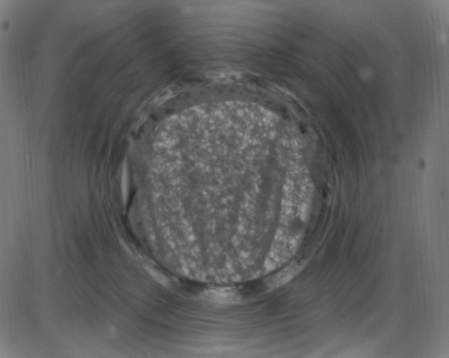 X0000084050280200703161904