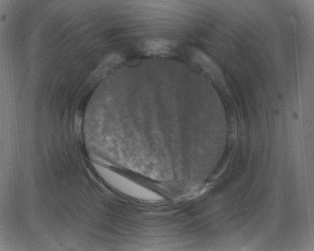 X0000084050281200703161904