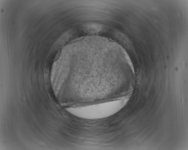 X0000084050283200703161904