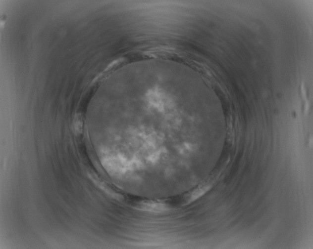 X0000084050284200703161904