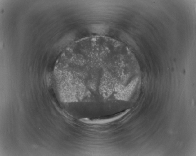 X0000084050285200703161904