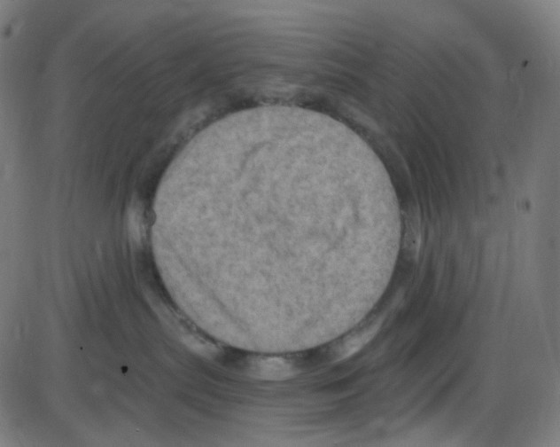 X0000084050287200703161904