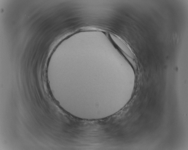 X0000084050289200703161904