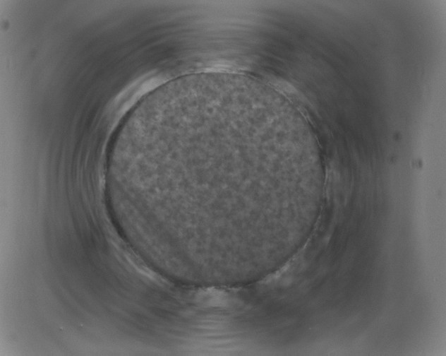 X0000084050290200703161904