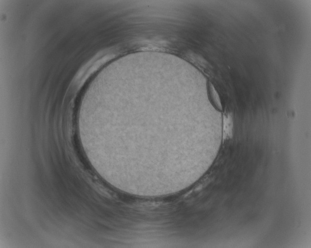 X0000084050291200703161904