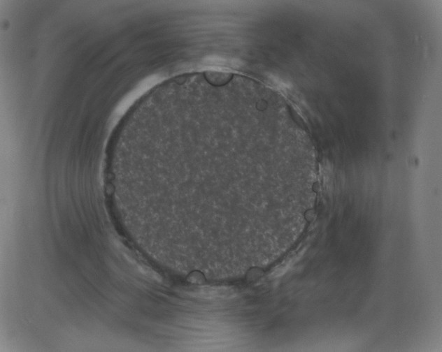 X0000084050292200703161904