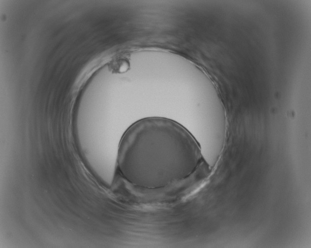 X0000084050293200703161904