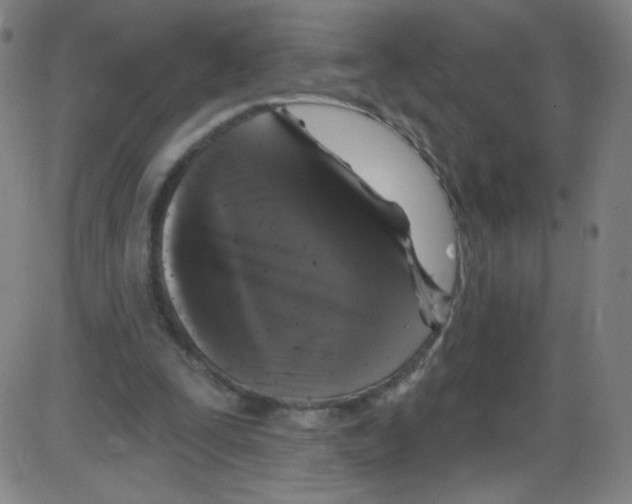 X0000084050295200703161904