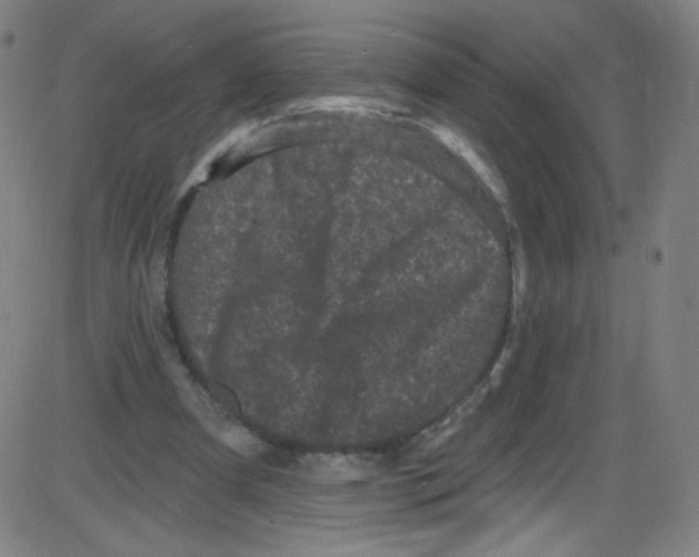 X0000084050297200703161904