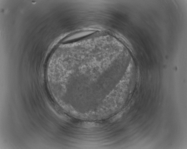 X0000084050298200703161904