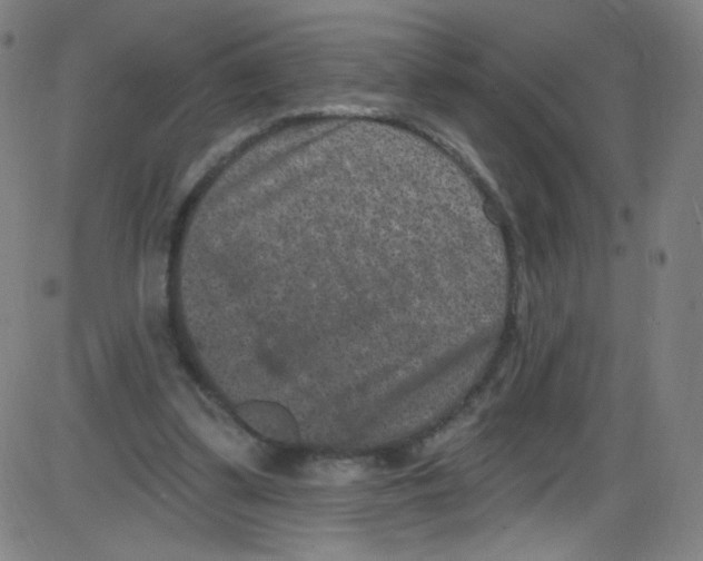 X0000084050299200703161904