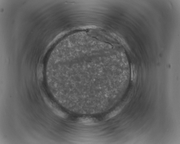 X0000084050300200703161904