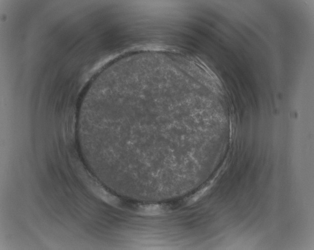 X0000084050301200703161904