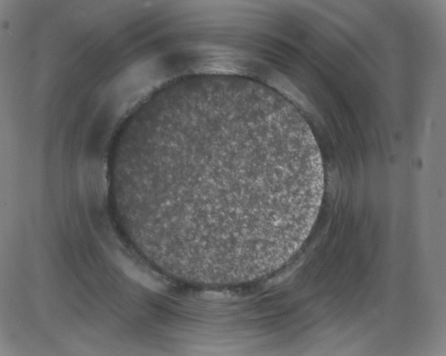 X0000084050302200703161903