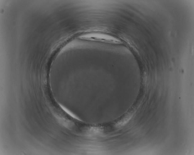 X0000084050303200703161903