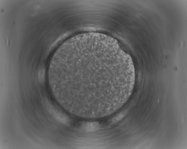 X0000084050304200703161903