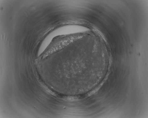 X0000084050305200703161903