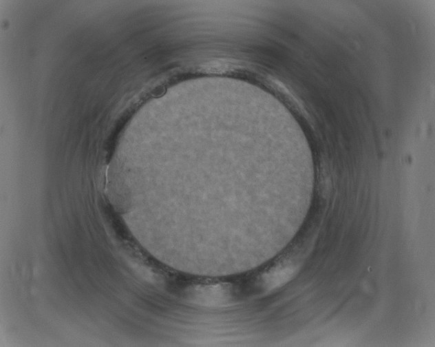 X0000084050307200703161903