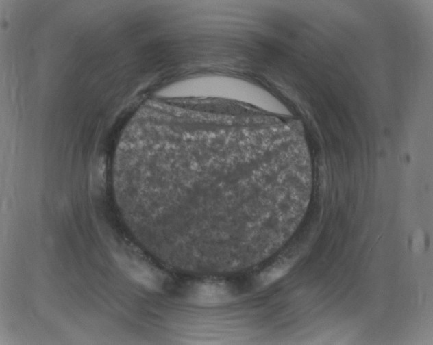 X0000084050308200703161903