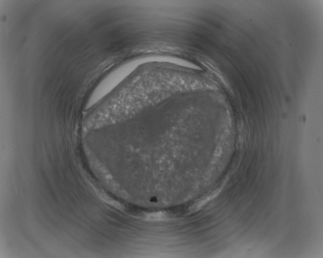 X0000084050309200703161903